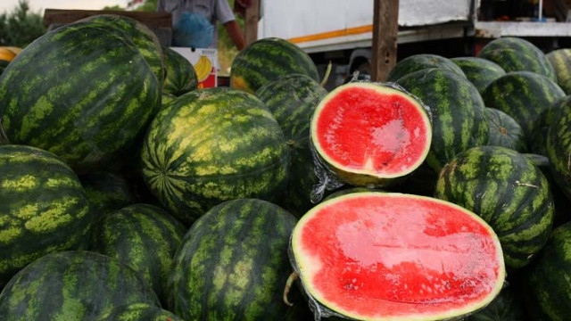 Лятна дилема: диня или пъпеш за десерт
