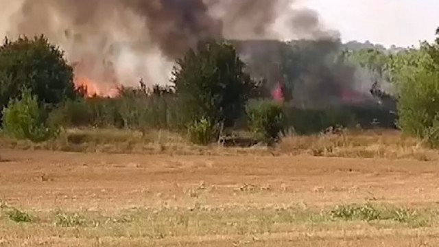 Пожарът край Лесово обхвана 8000 декара