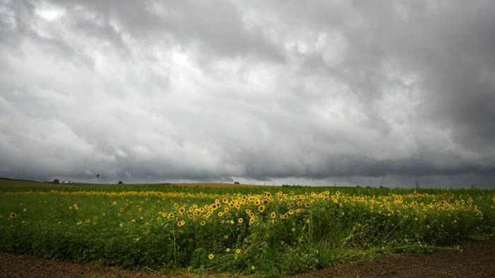 Колко трябва да спи всеки зодиакален знак