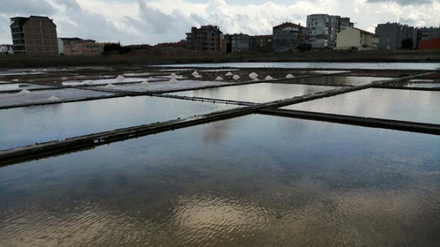 В Поморие добиват “бяло злато” от незапомнени времена