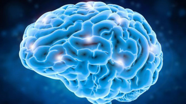 Лекар съветва как да забавим стареенето на мозъка